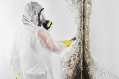Mold Abatement Service in West Palm Beach, FL