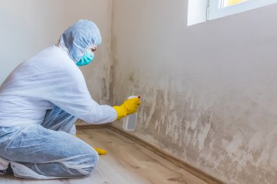 Attic Mold Remediation in Bergen County, NJ