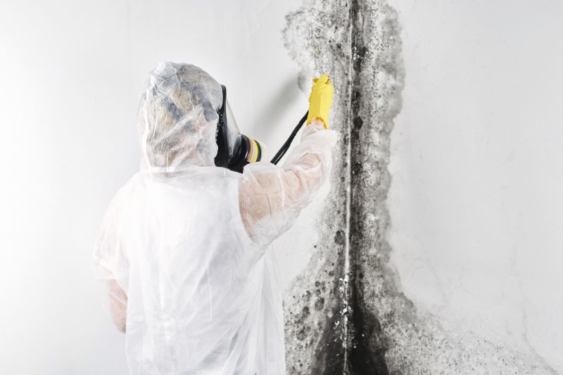Basement Mold Remediation in Dallas, TX