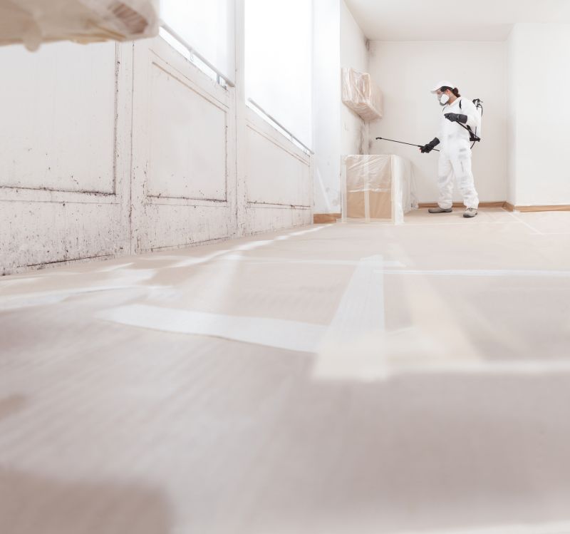 Crawlspace Mold Remediation in Essex County, NJ