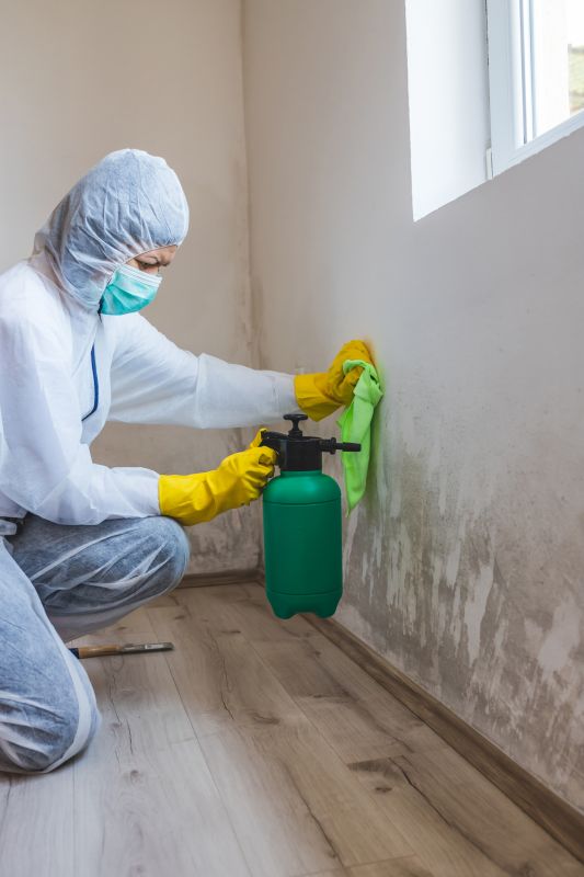 Garage Mold Remediation in Frisco, TX