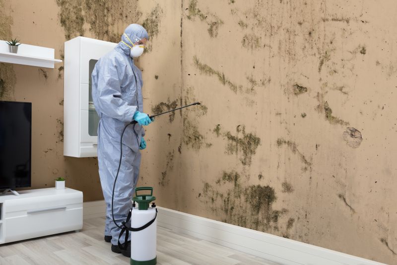 Mold Abatement in Essex County, NJ