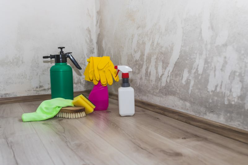 Mold Cleanup Service in Jupiter, FL