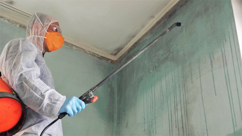Mold Restoration in Bergen County, NJ