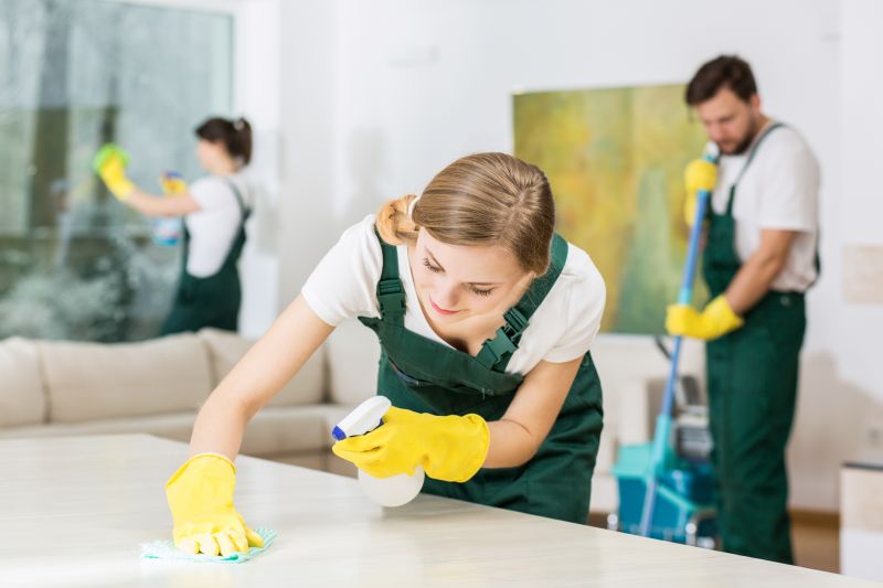 Townhouse Deep Cleaning in Redmond, WA